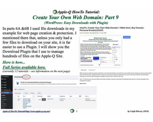 HowTo: Create Your Own Web Domain 9 (WordPress: Easy Downloads with Plugin)(2024)