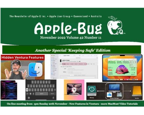 Apple-Bug 2022-11