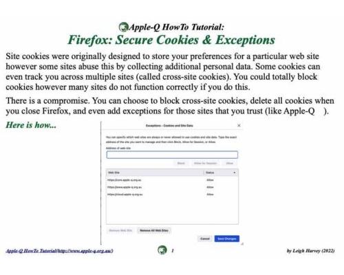 HowTo- Firefox- Secure Cookies & Exceptions