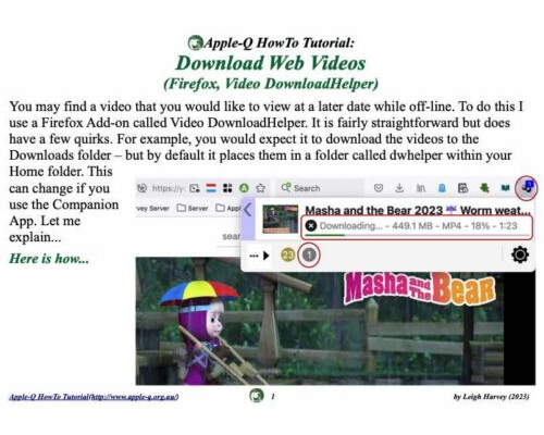 HowTo: Download Web Videos (Firefox, Video DownloadHelper)