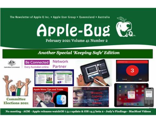 Apple-Bug 2021-02