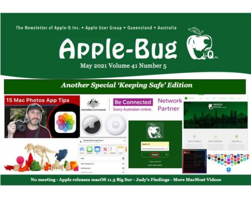 Apple-Bug 2021-05