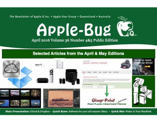 Apple-Bug 2016-4&5 PE