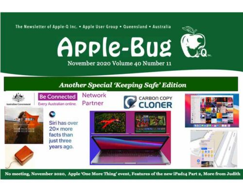 Apple-Bug 2020-11