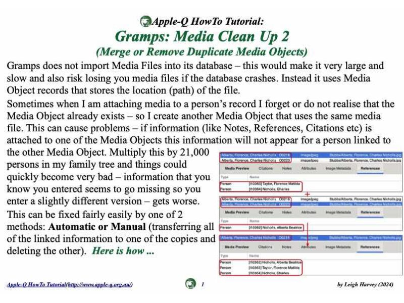 HowTo: Gramps: Media Clean Up 2 (Merge or Remove Duplicate Media Objects) (2024)
