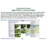 HowTo: Apple Photos 3: External Editor (2017)