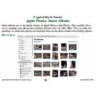 HowTo: Apple Photos: Smart Albums (2018)
