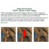 HowTo: GIMP: Install 2. Add the G'MIC Plug-in (2024)