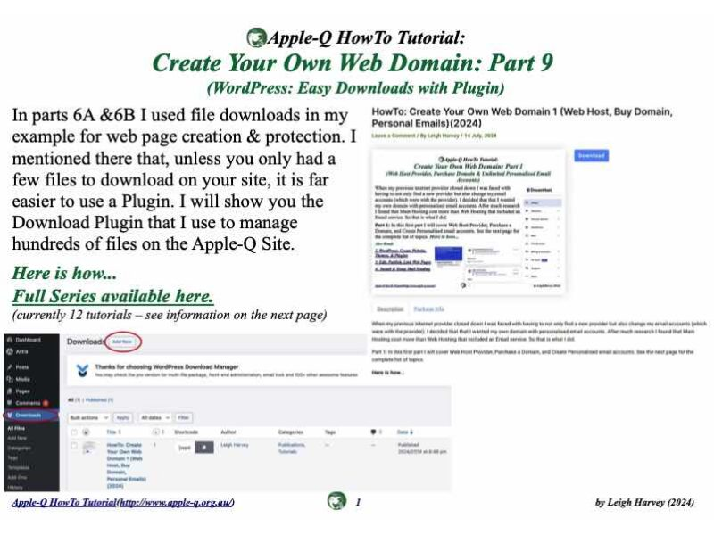 HowTo: Create Your Own Web Domain 9 (WordPress: Easy Downloads with Plugin)(2024)