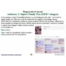 HowTo: webtrees: 2. Import Family Tree (GED + images) (2024)