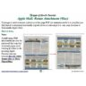HowTo: Apple Mail: Rotate Attachment(Mac)(2023-11)
